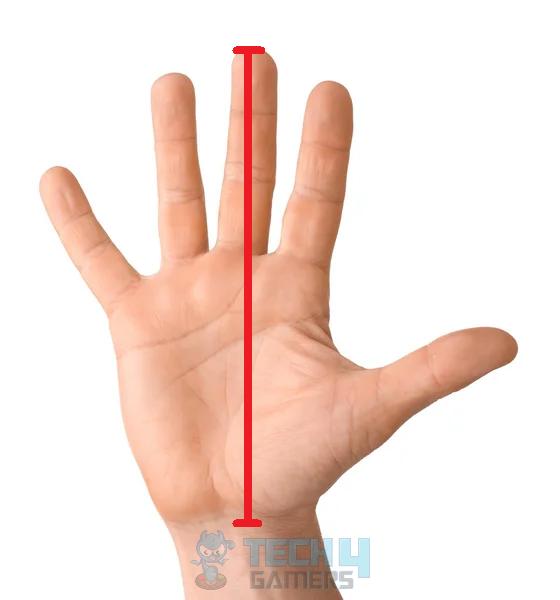 Measure Hand Length