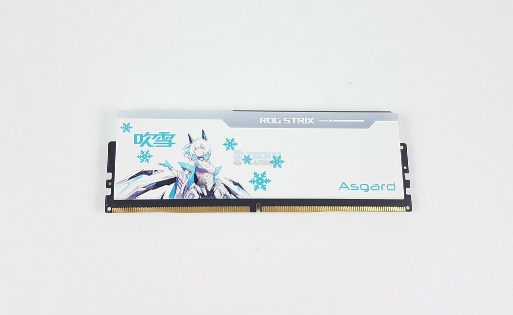 Asgard BRAGI ROG Strix RGB 32GB DDR5 @ 7200MHz CL34 - Front View